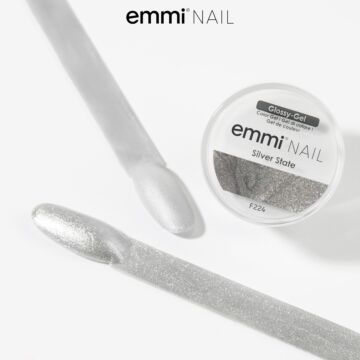 Emmi-Nail Gel glossy Silver State 5ml -F224-